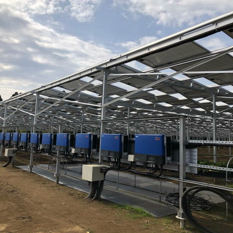 System Mowntio Solar Amaethyddiaeth
