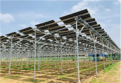 Strwythur Mowntio Amaethyddiaeth Ffotofoltäig System Mowntio Fferm Solar
