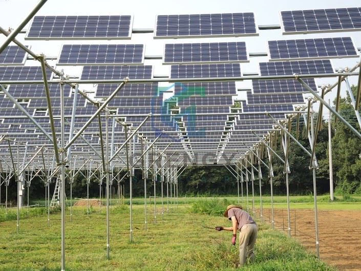 Adjustable Angle Agriculture Farm Solar System
