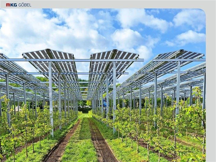Agrivoltaics Mounting Systems